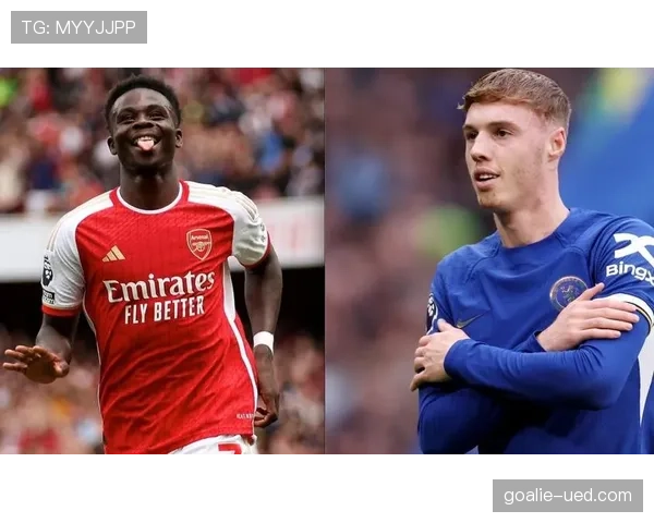 帕尔默与萨卡的进攻多面性差异：战术适配性如何塑造角色上限