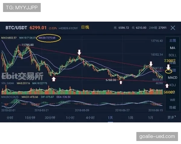 塔雷米在波尔图的进攻贡献：关键数据背后的稳定输出机制