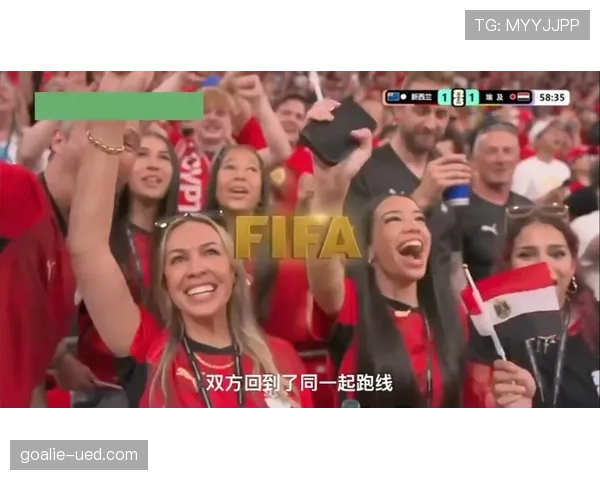 新西兰对埃及回顾：1-3失利影响出线希望
